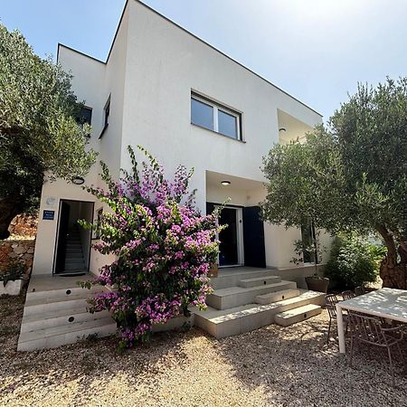 Villa Oleana Makarska Dış mekan fotoğraf
