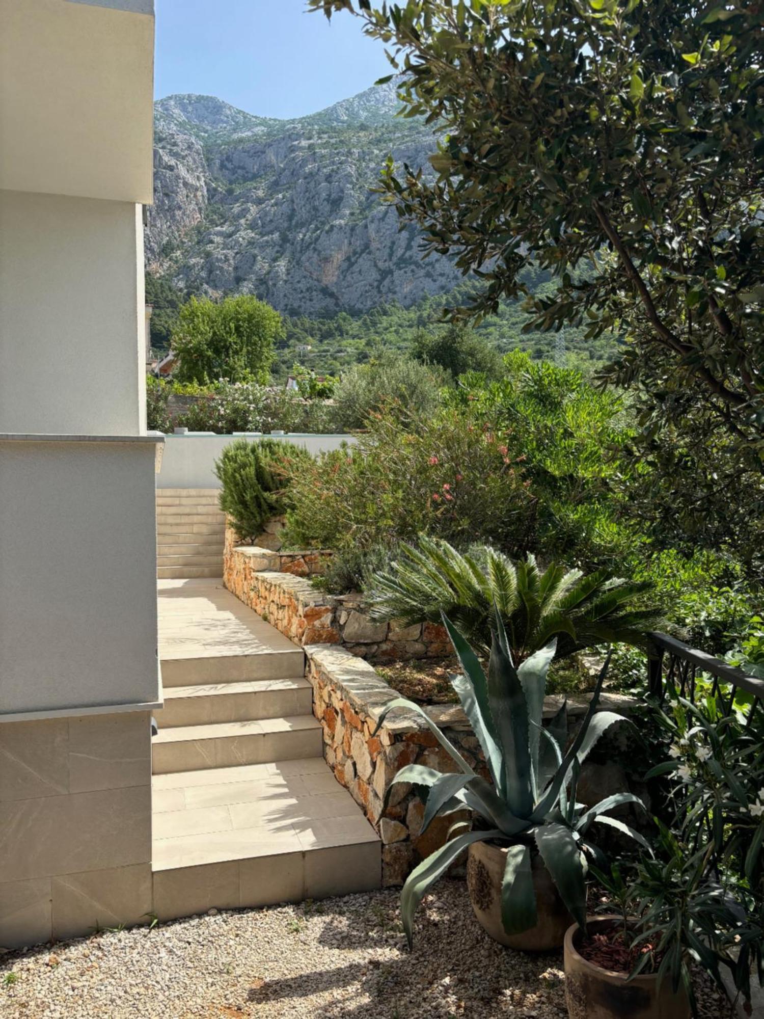 Villa Oleana Makarska Dış mekan fotoğraf